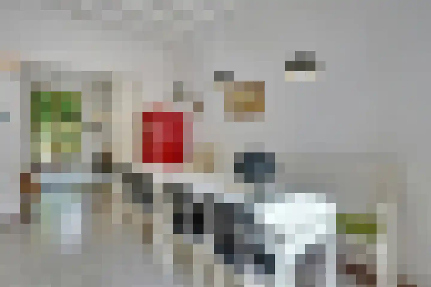 Klein Belgie 16 Vijfhuizen thumbnail 9