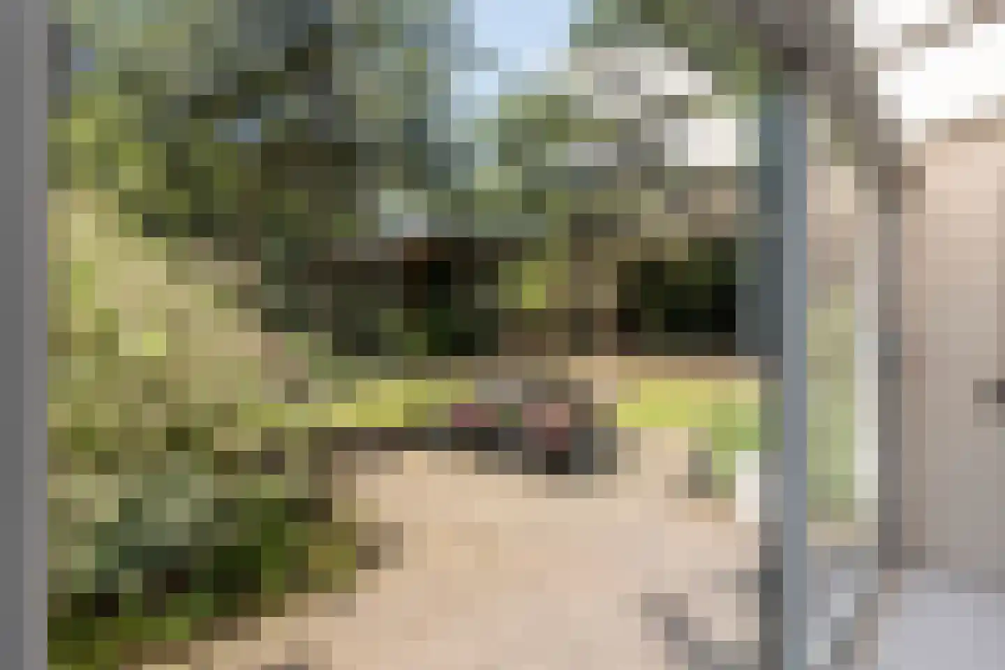 Klein Belgie 17 Vijfhuizen thumbnail 10