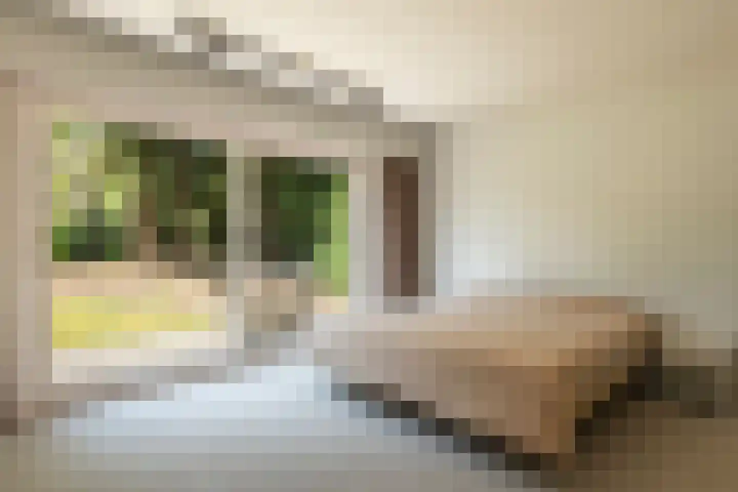 Klein Belgie 17 Vijfhuizen thumbnail 12