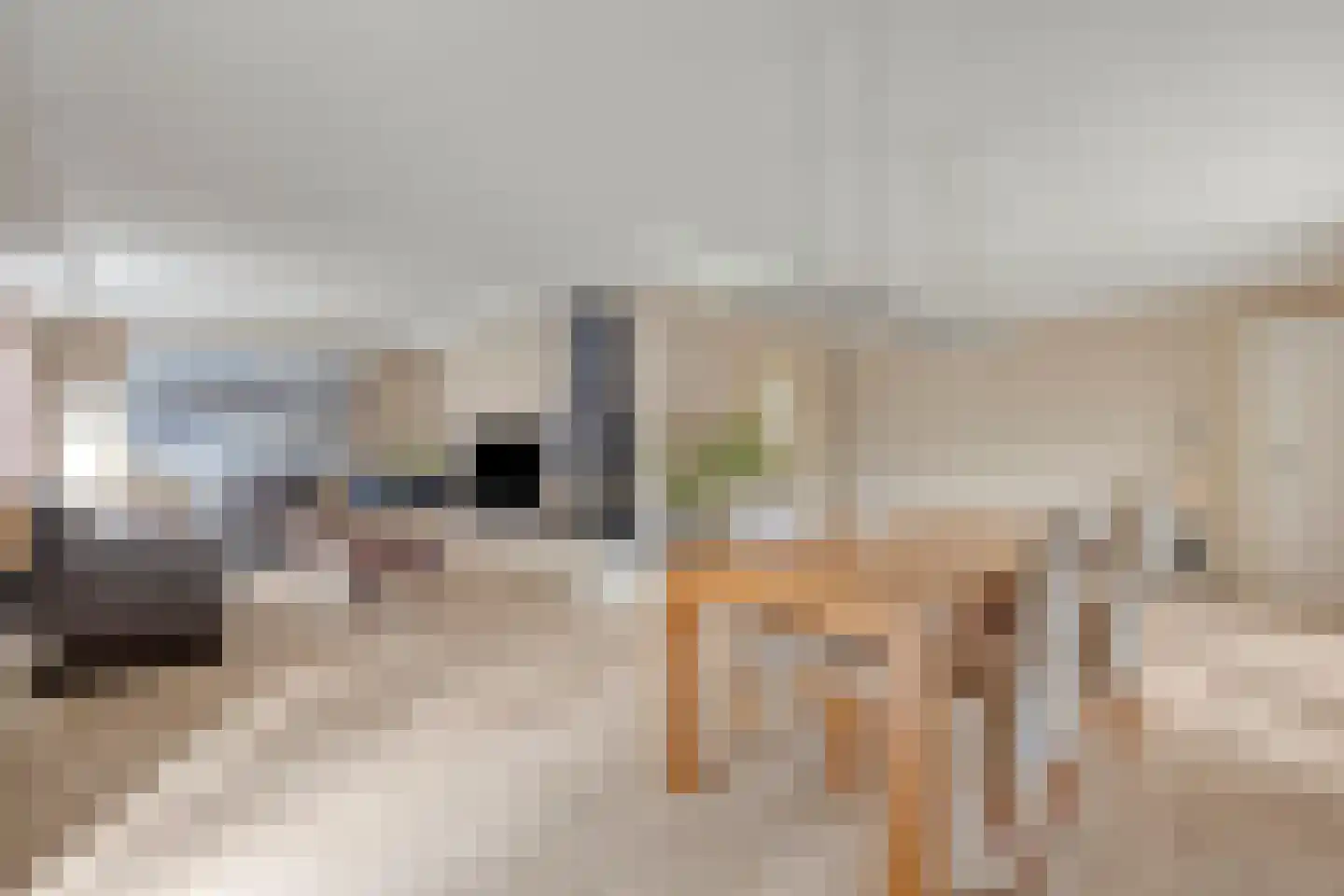 Klein Belgie 17 Vijfhuizen thumbnail 13