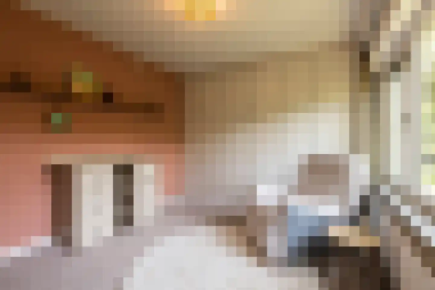 Klein Belgie 17 Vijfhuizen thumbnail 15