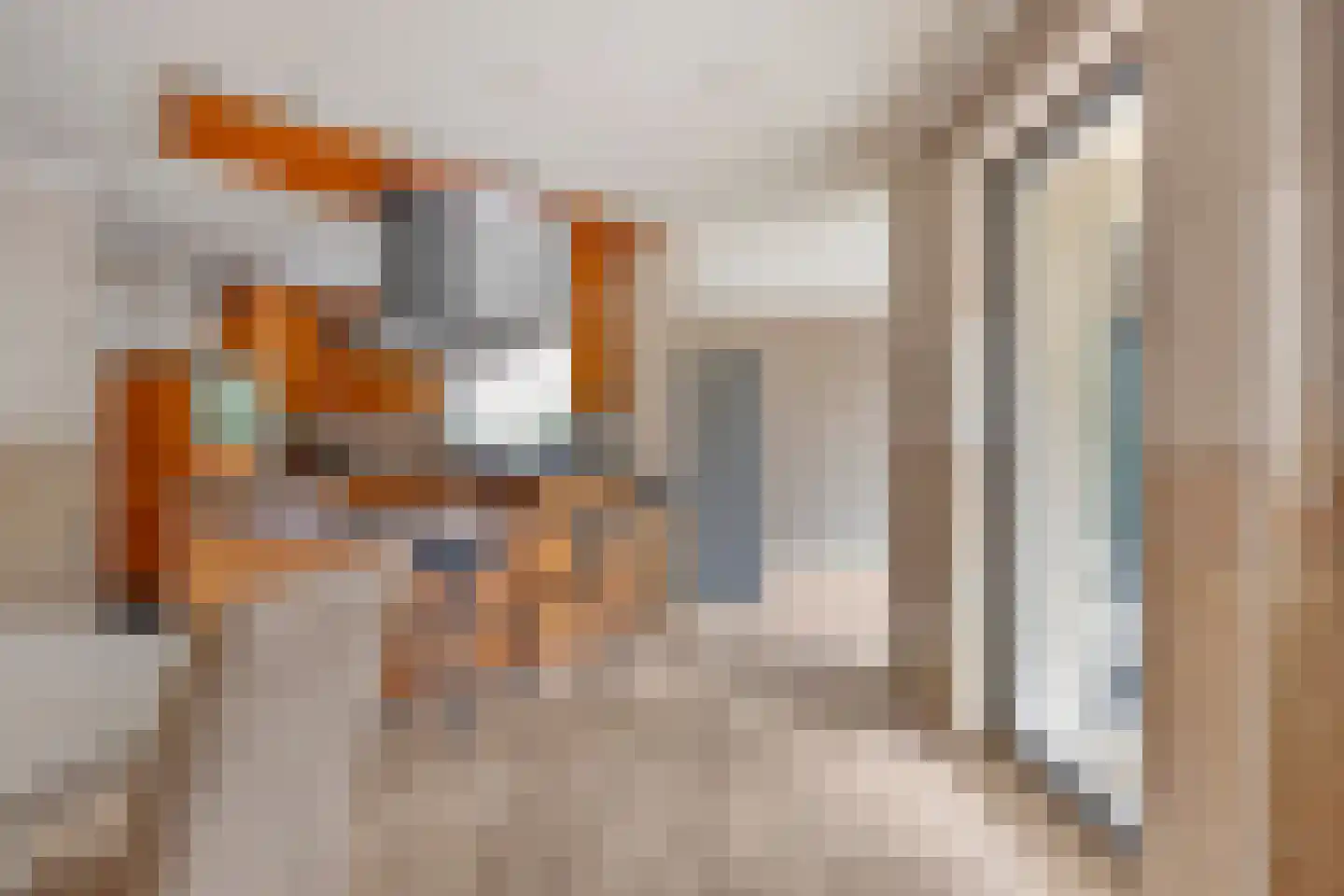 Klein Belgie 17 Vijfhuizen thumbnail 16