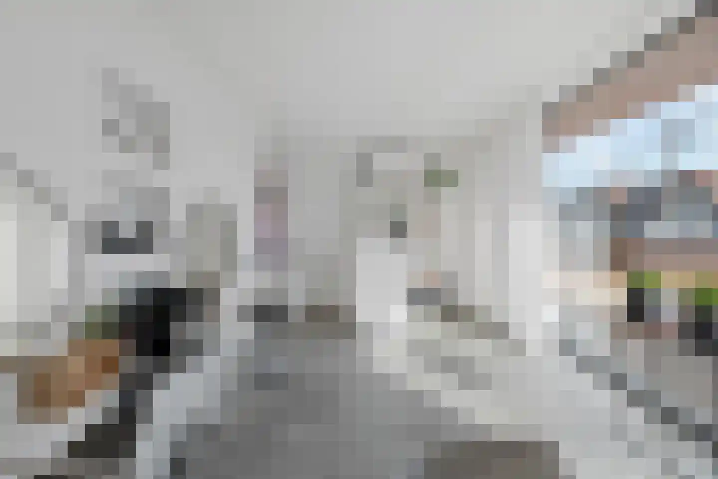 Klein Belgie 17 Vijfhuizen thumbnail 17