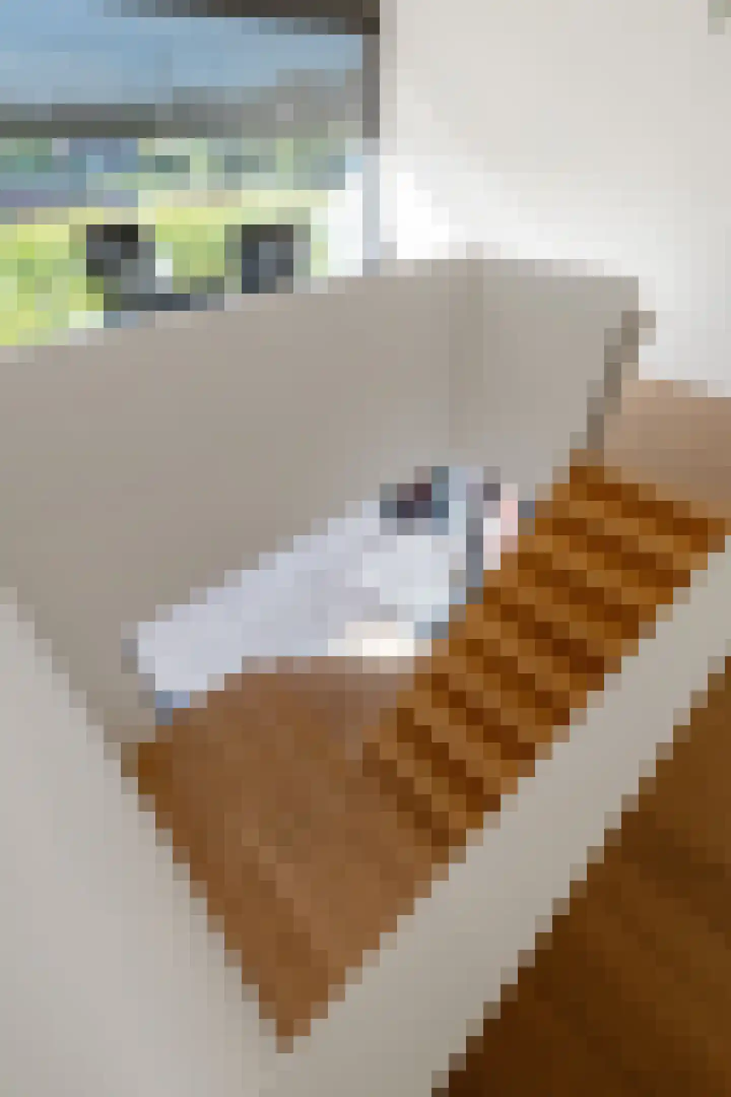 Klein Belgie 17 Vijfhuizen thumbnail 18