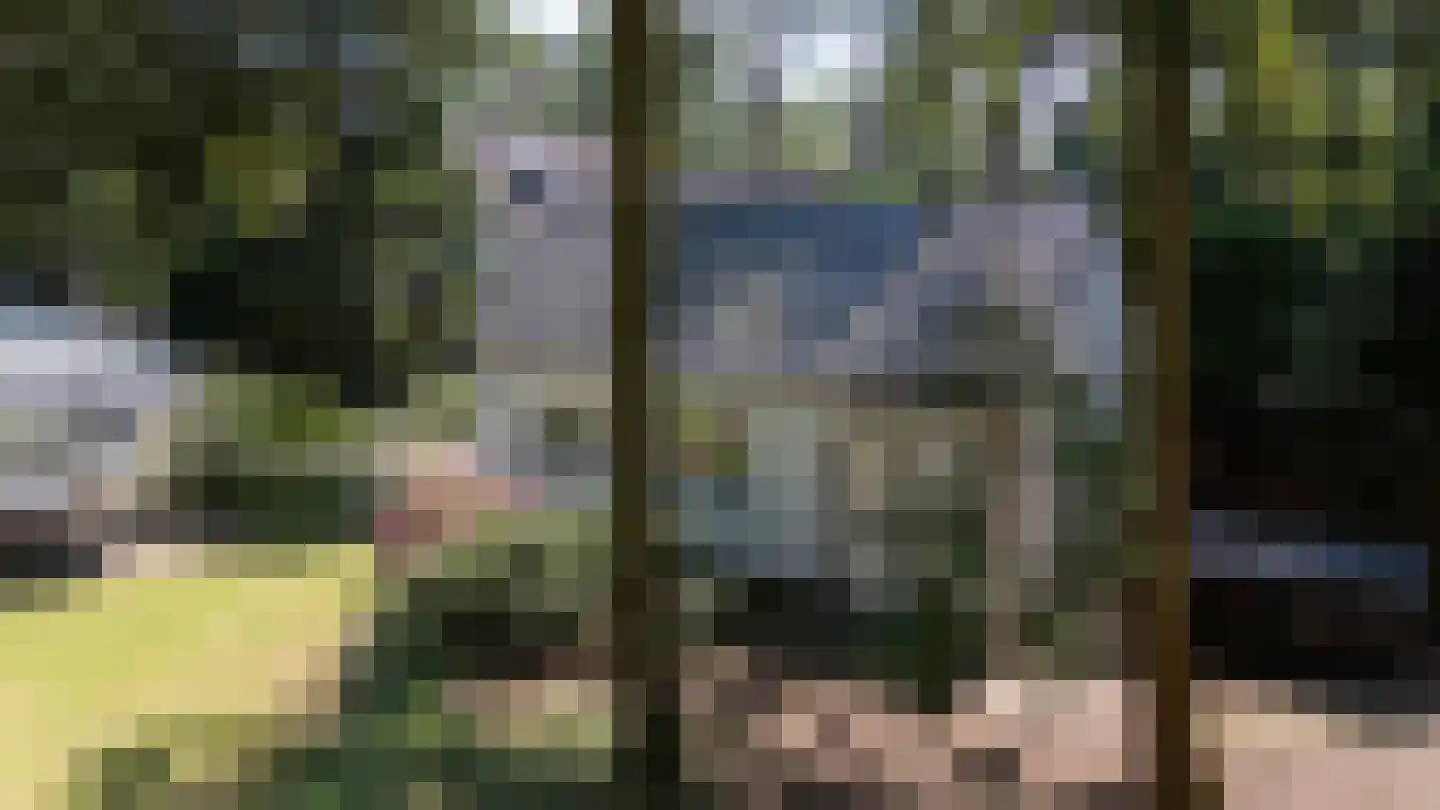 Klein Belgie 17 Vijfhuizen thumbnail 19