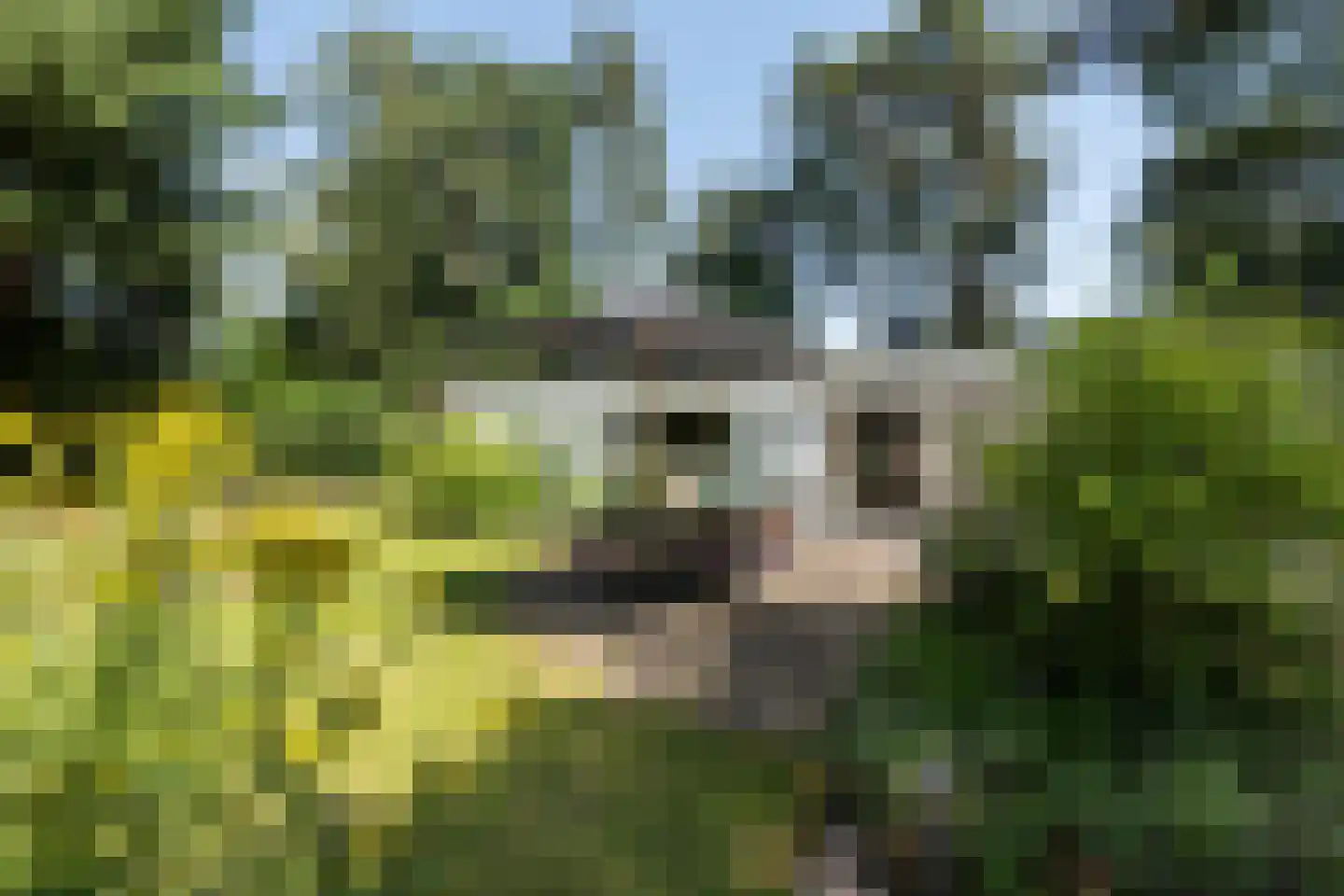 Klein Belgie 17 Vijfhuizen thumbnail 22