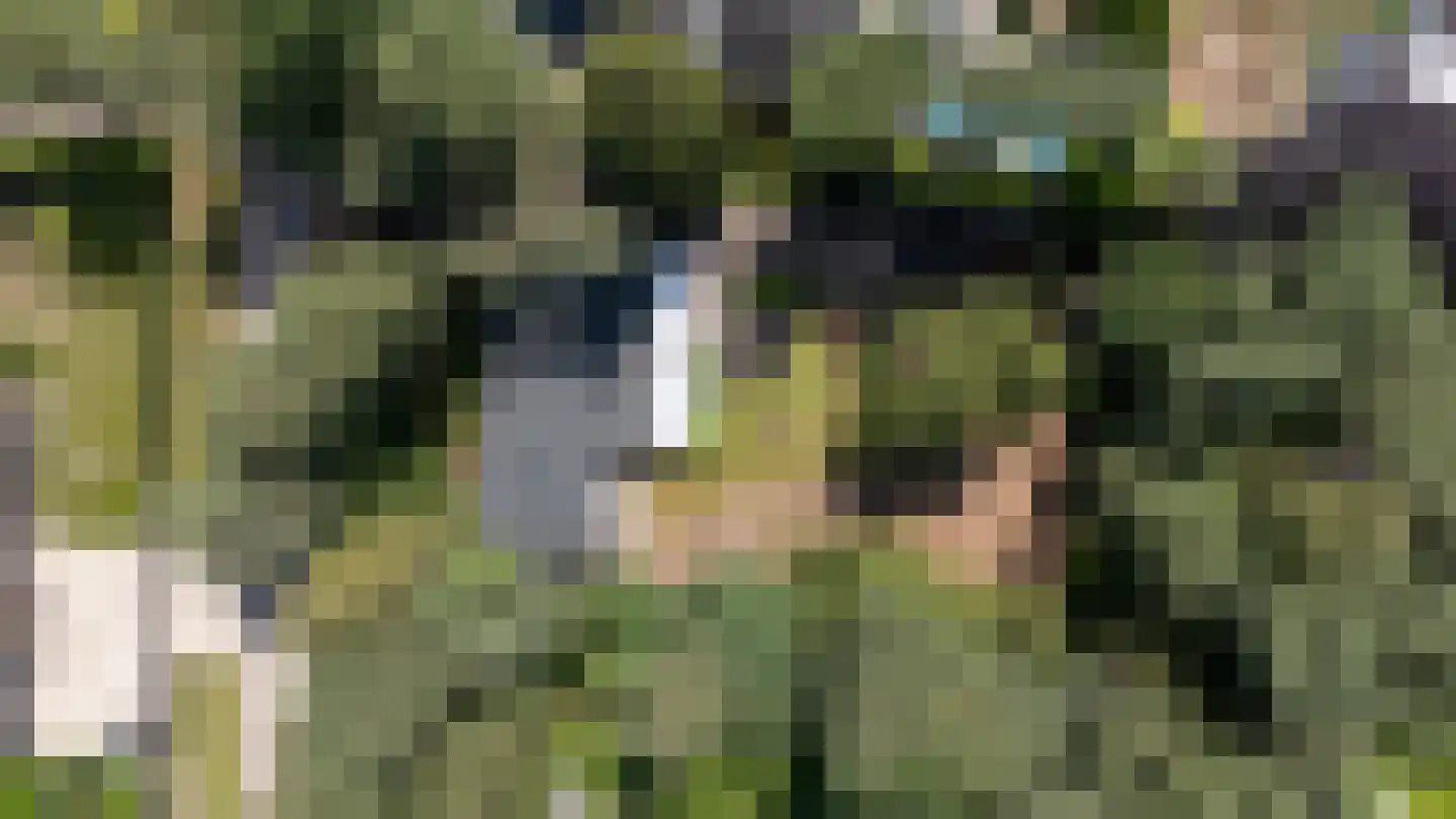 Klein Belgie 17 Vijfhuizen thumbnail 24
