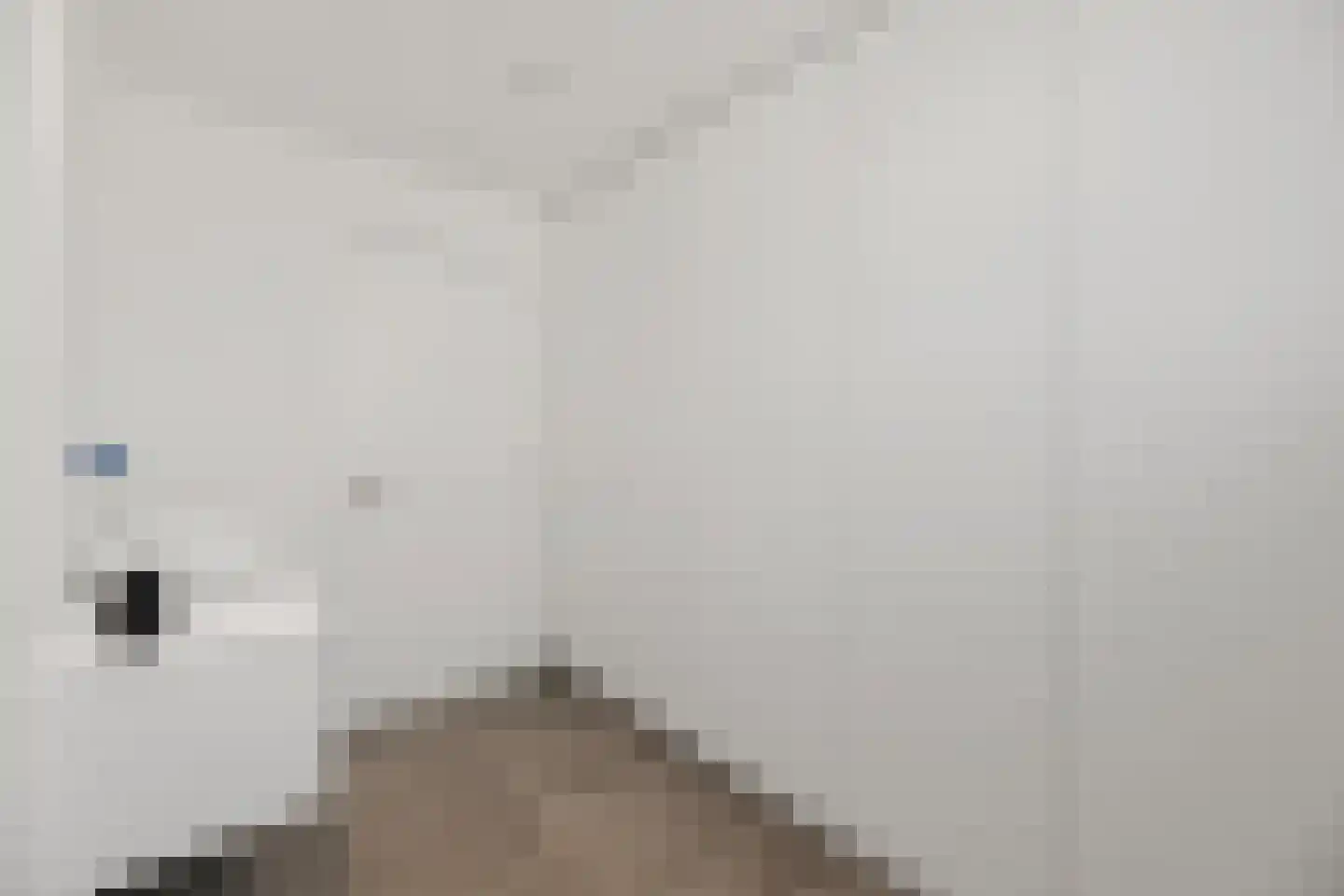 Klein Belgie 17 Vijfhuizen thumbnail 28