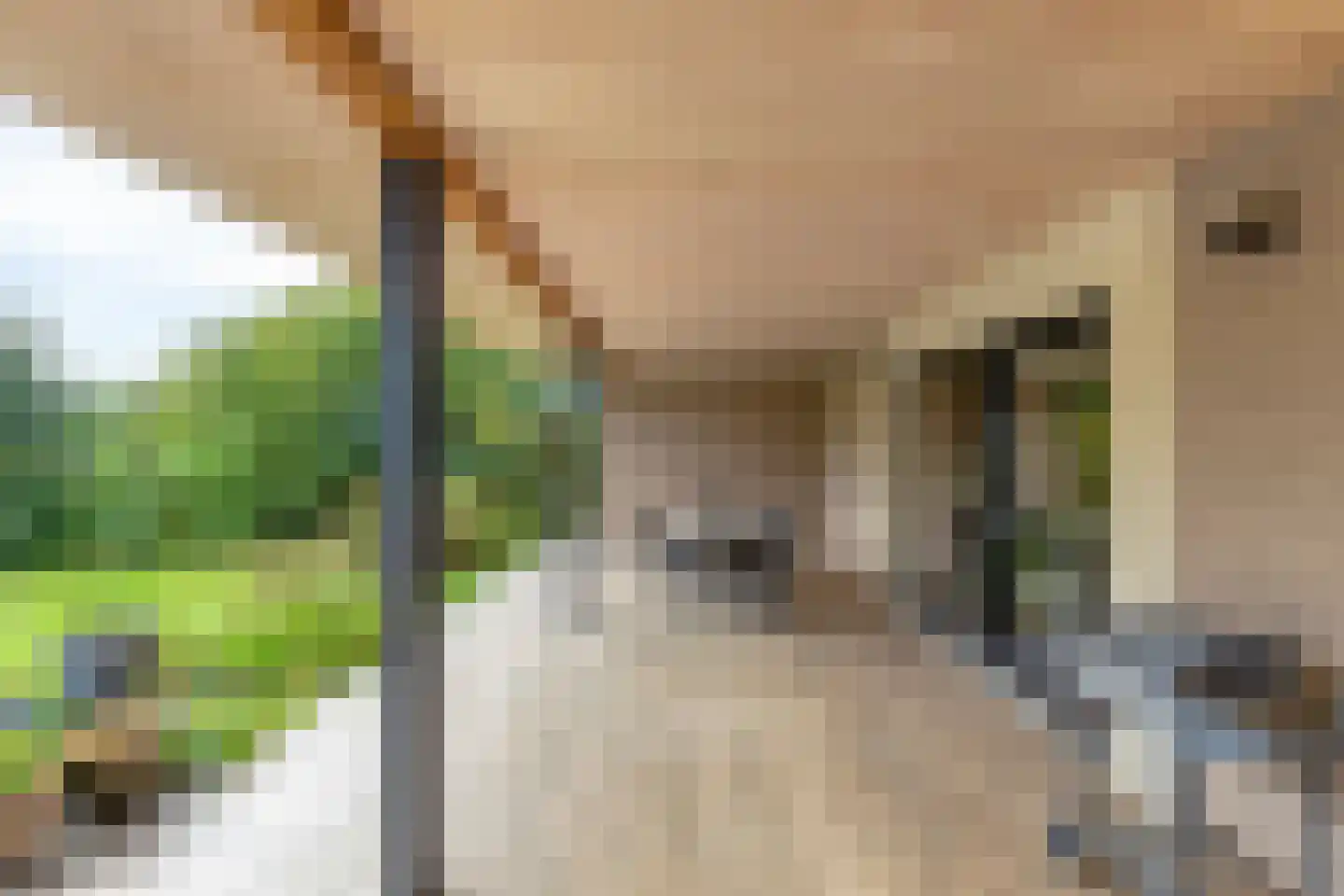 Klein Belgie 17 Vijfhuizen thumbnail 32