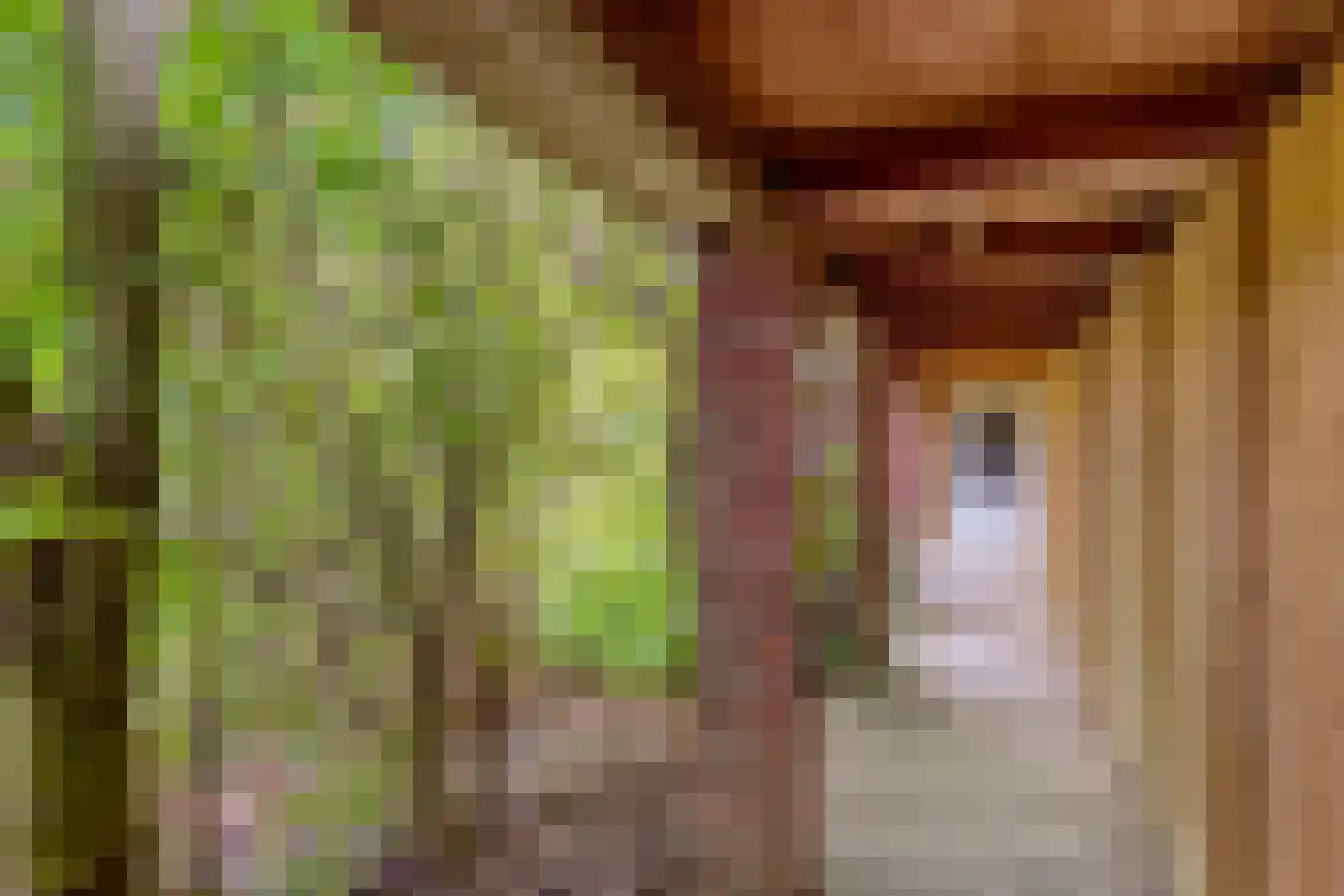 Klein Belgie 17 Vijfhuizen thumbnail 36
