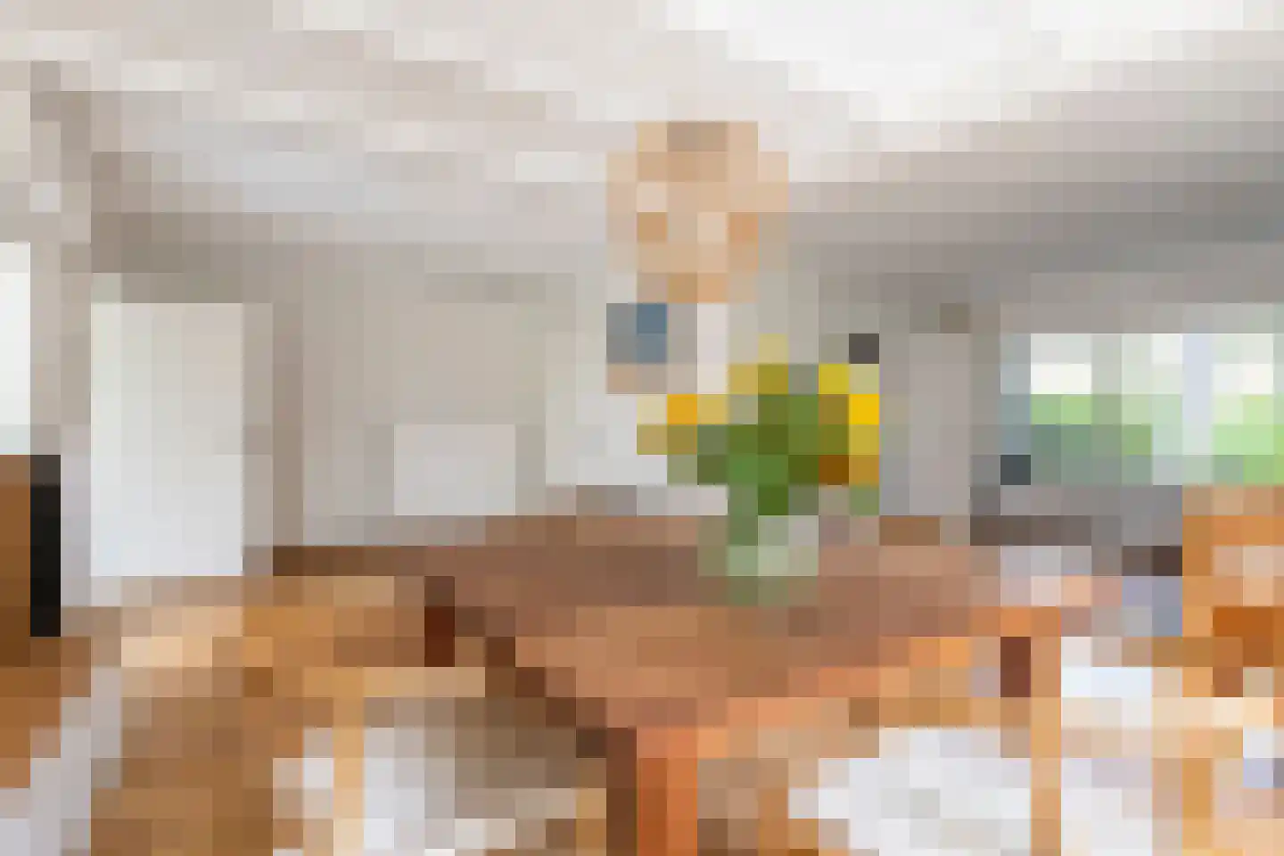 Klein Belgie 17 Vijfhuizen thumbnail 6