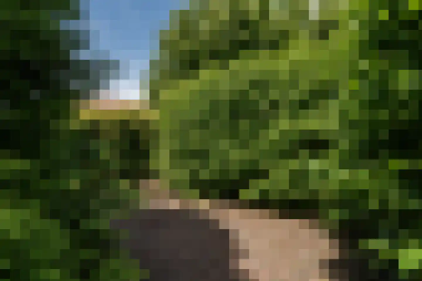 Klein Belgie 17 Vijfhuizen thumbnail 7
