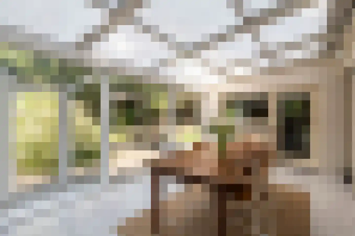 Klein Belgie 17 Vijfhuizen thumbnail 9