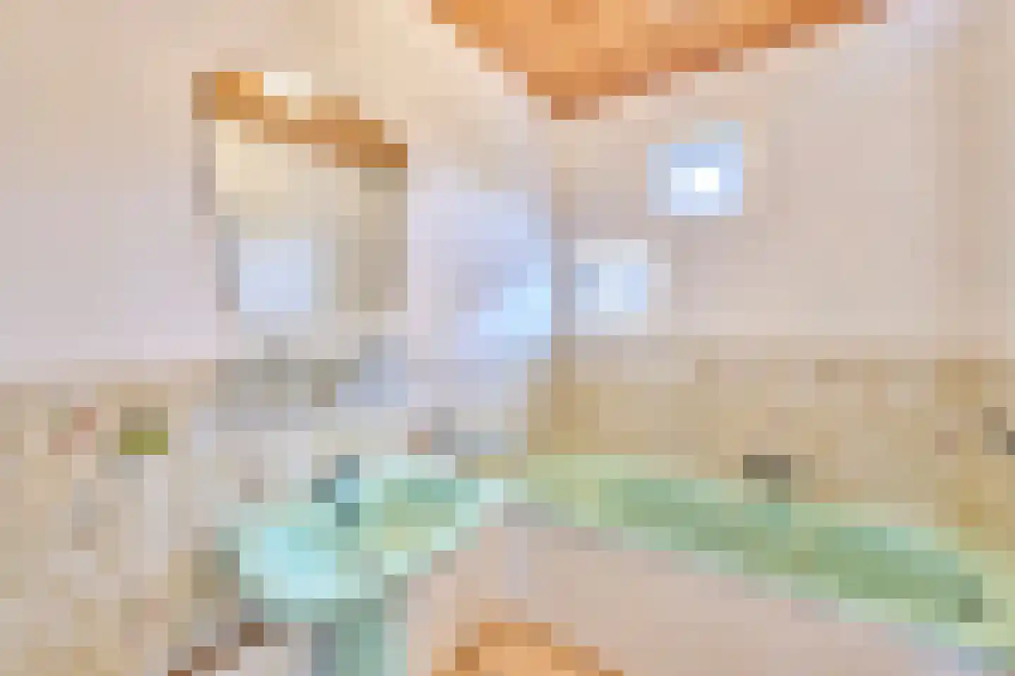 Klein Belgie 18 Vijfhuizen thumbnail 15