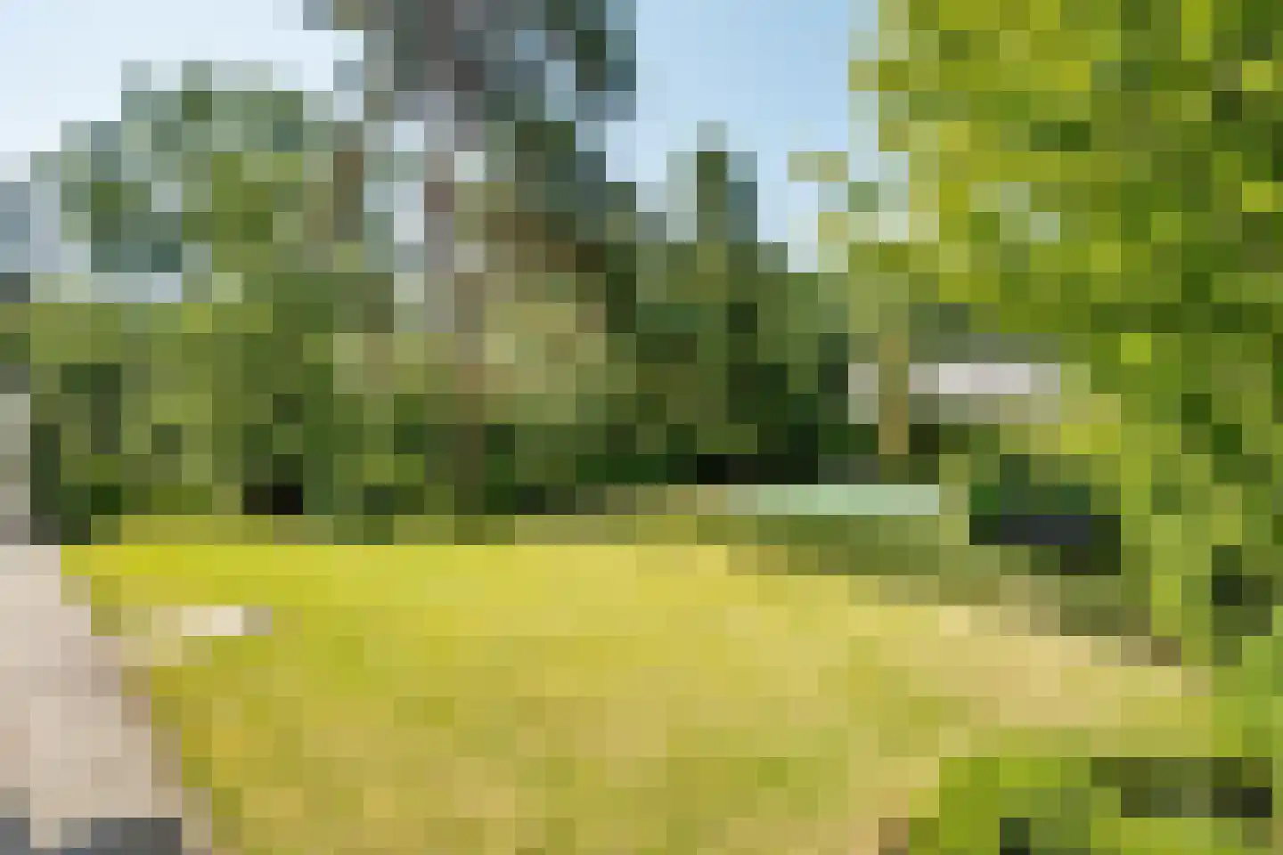 Klein Belgie 18 Vijfhuizen thumbnail 26