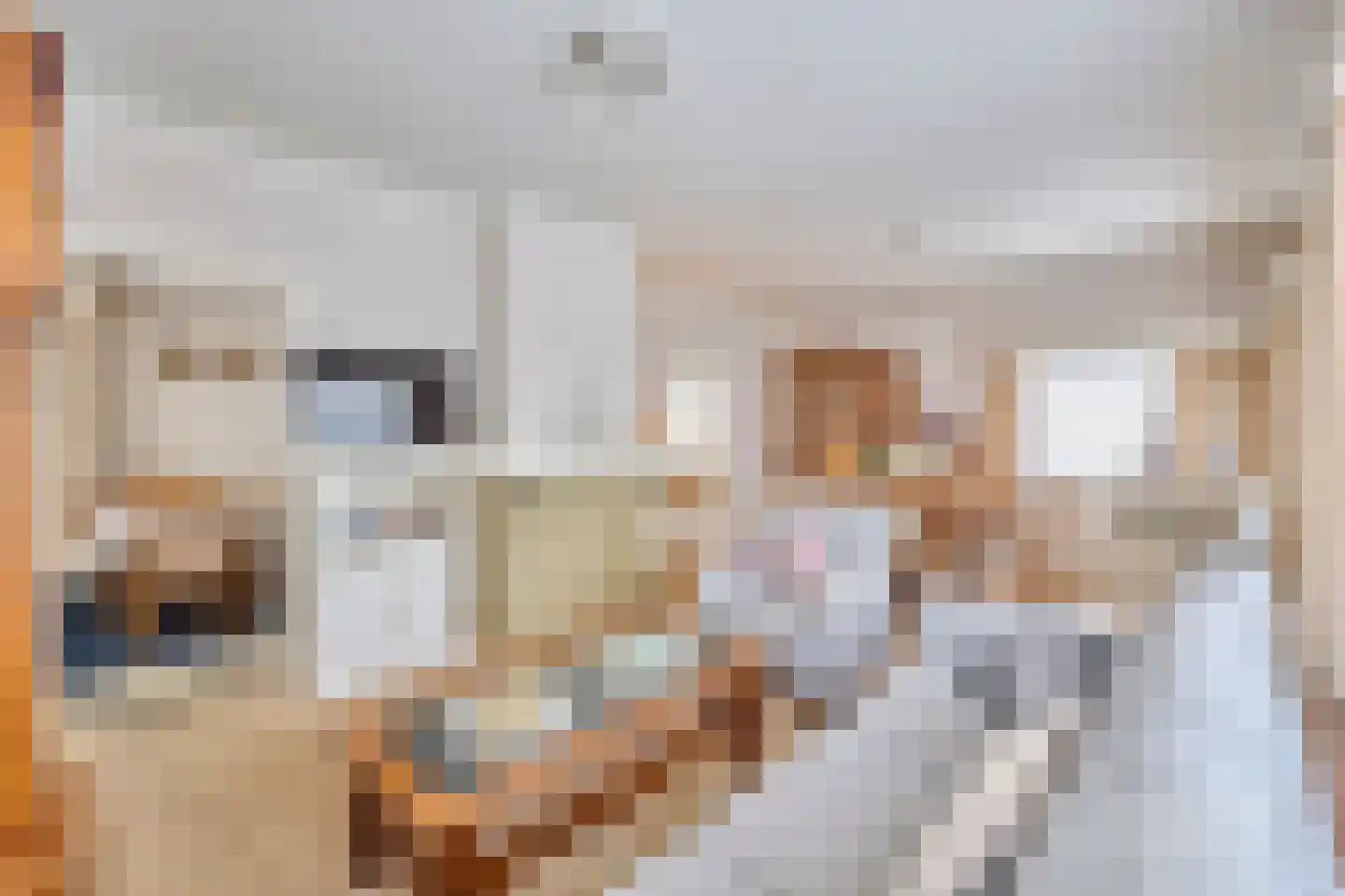 Klein Belgie 18 Vijfhuizen thumbnail 5