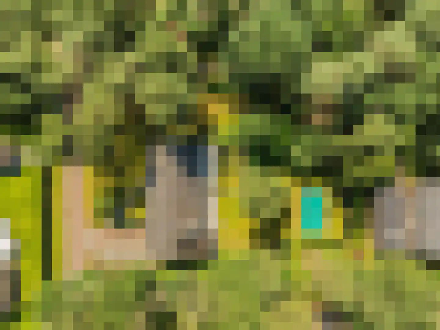 Klein Belgie 18 Vijfhuizen thumbnail 5