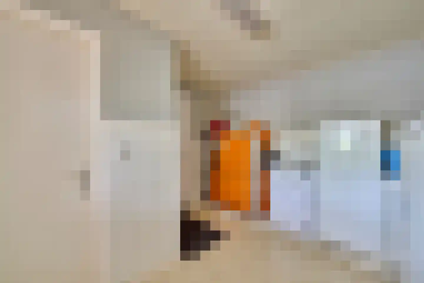 Klein Belgie 18 Vijfhuizen thumbnail 9