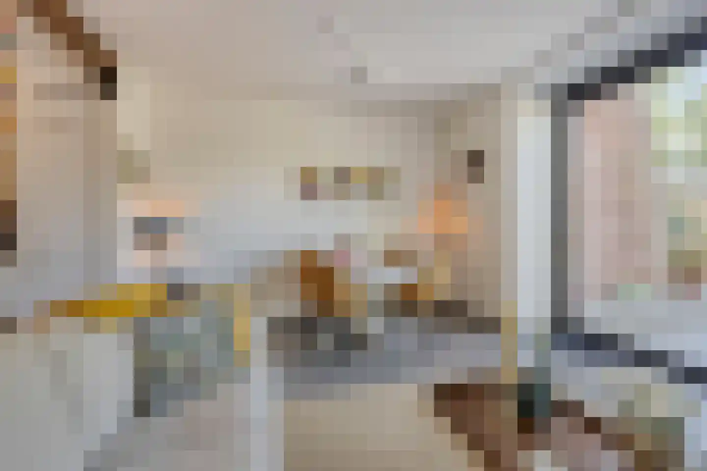 Klein Belgie 19 9 Vijfhuizen thumbnail 15