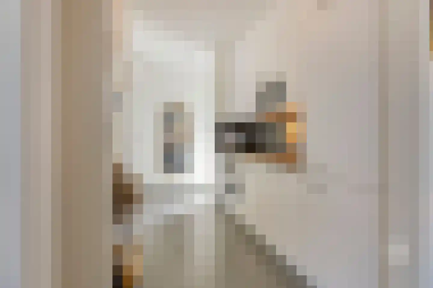 Klein Belgie 19 9 Vijfhuizen thumbnail 18