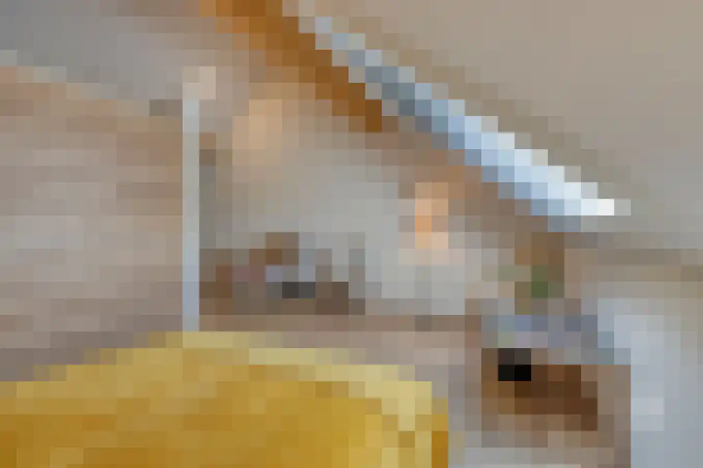Klein Belgie 19 9 Vijfhuizen thumbnail 33
