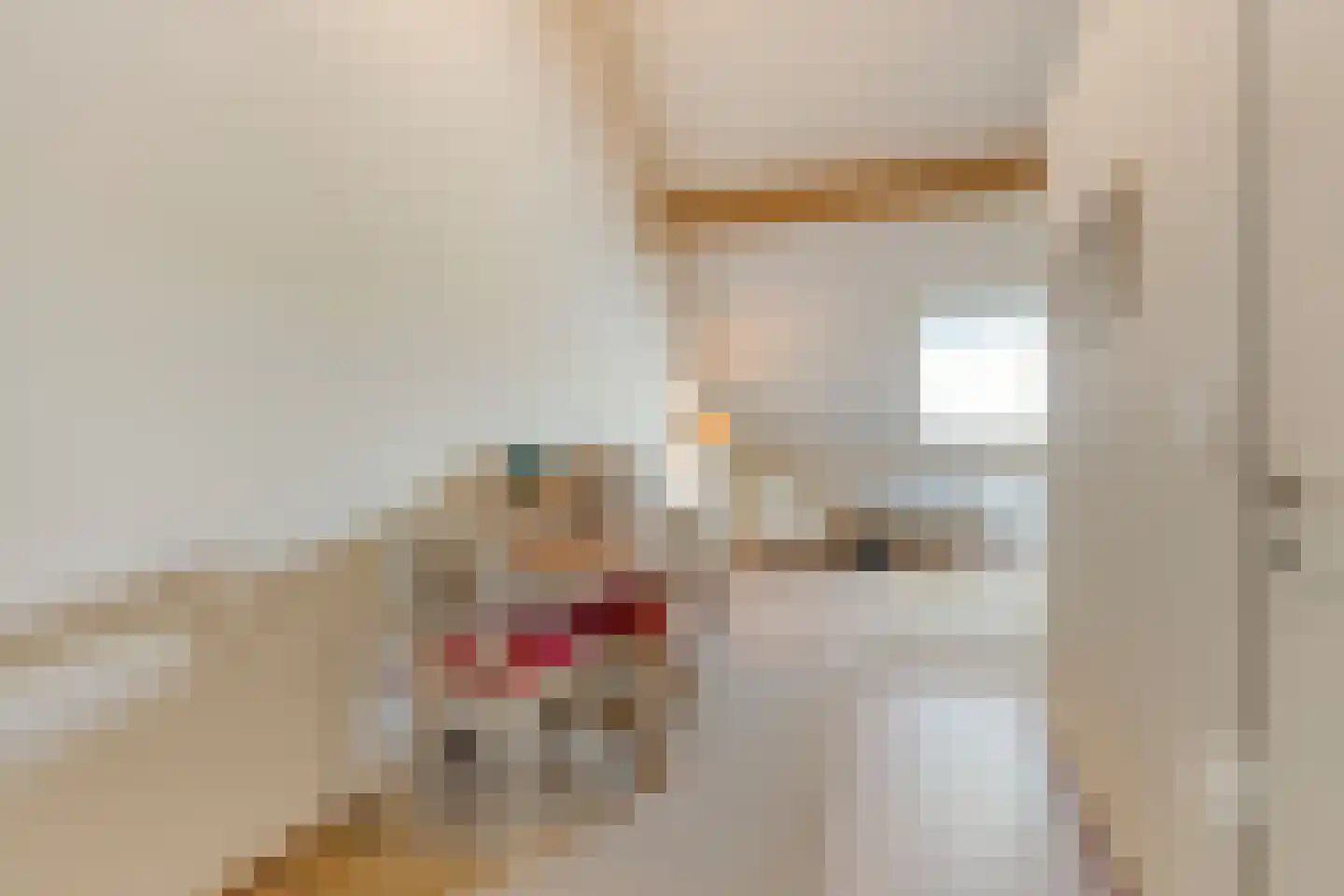Klein Belgie 19 9 Vijfhuizen thumbnail 35