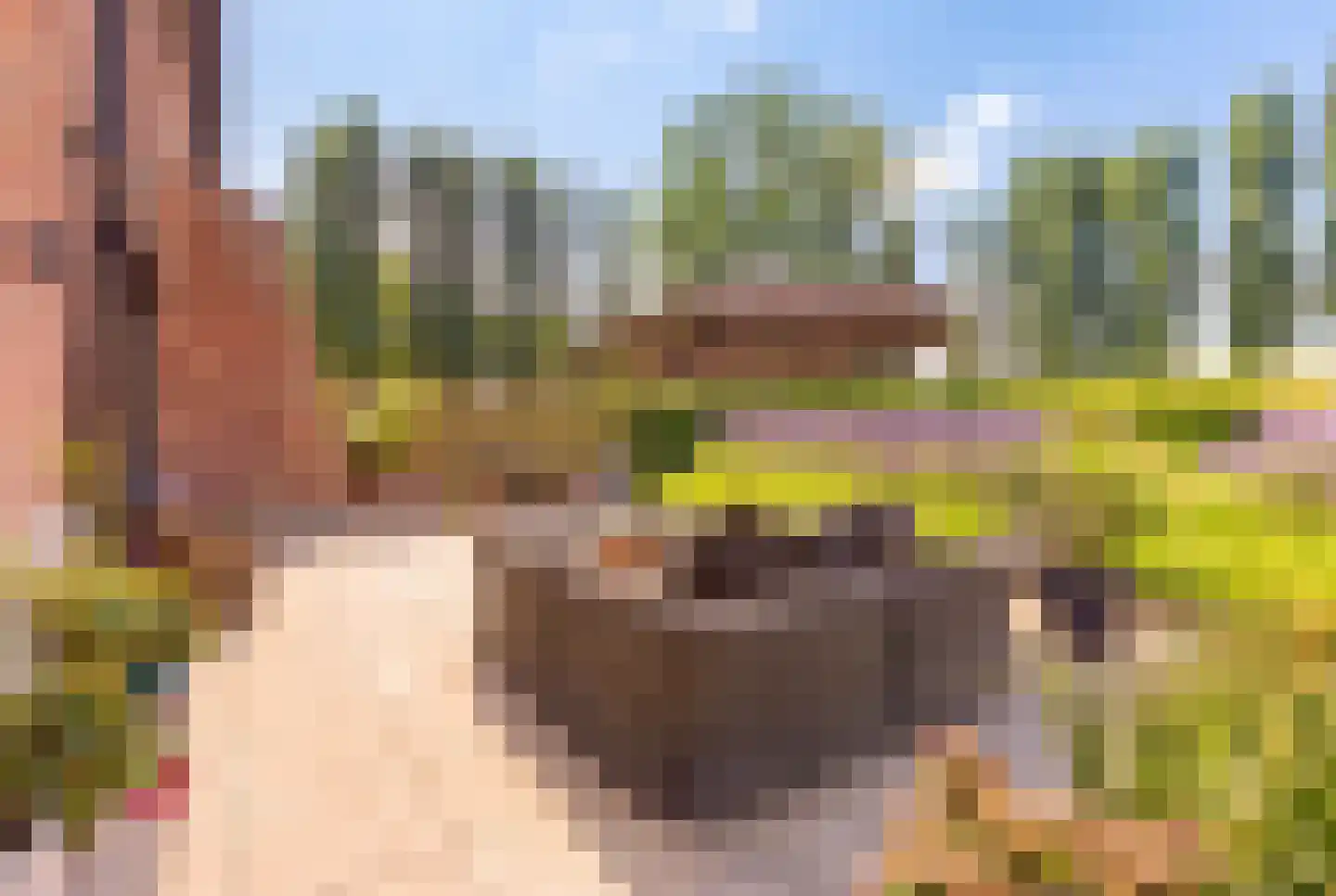Klein Belgie 19 9 Vijfhuizen thumbnail 38