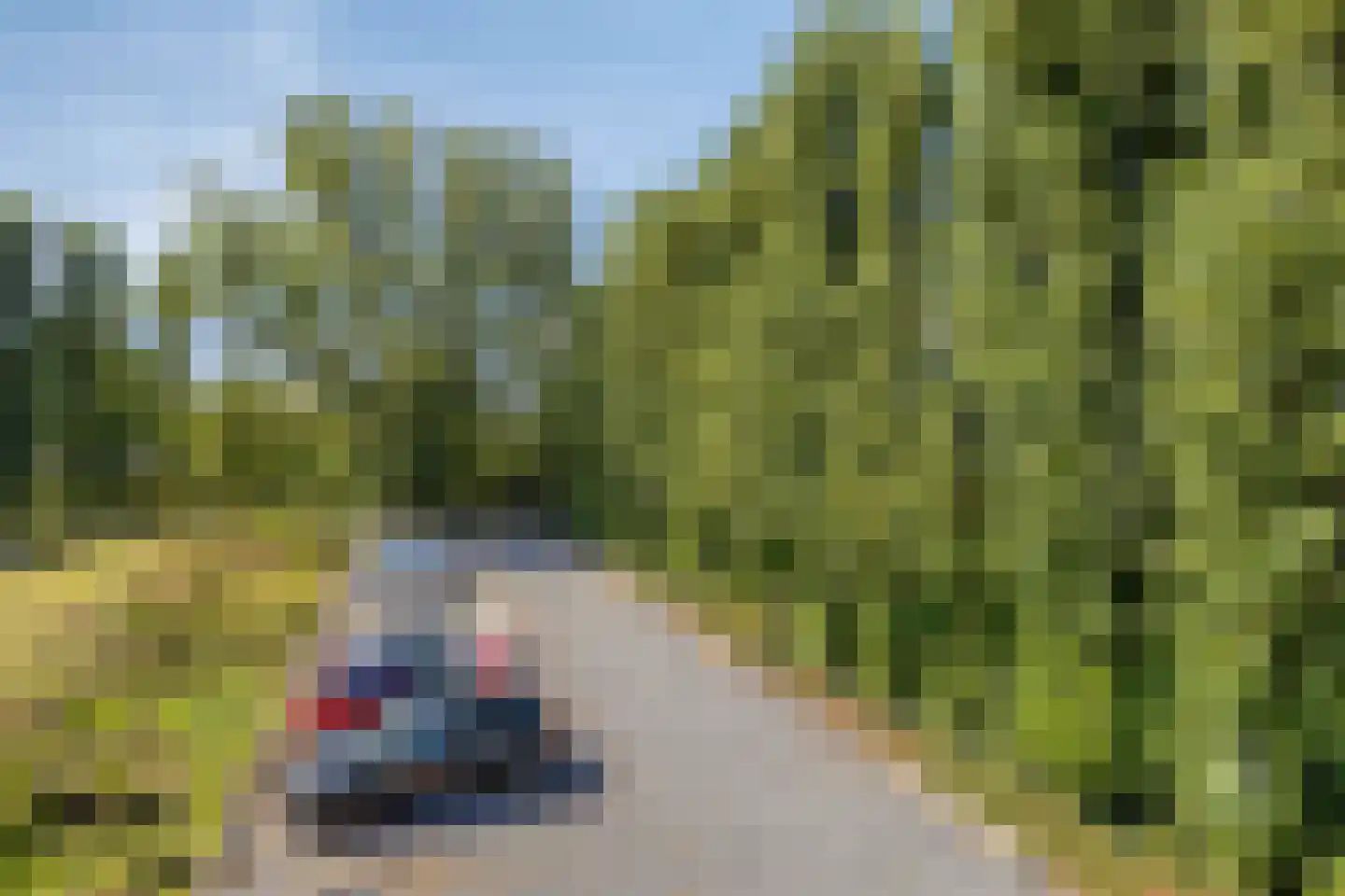 Klein Belgie 19 9 Vijfhuizen thumbnail 43