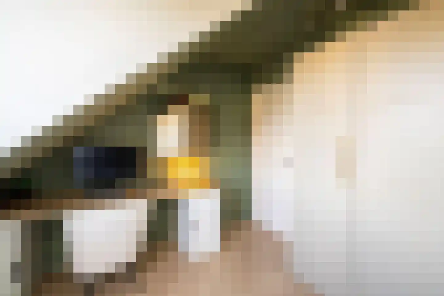 Klein Belgie 19 b27 Vijfhuizen thumbnail 15