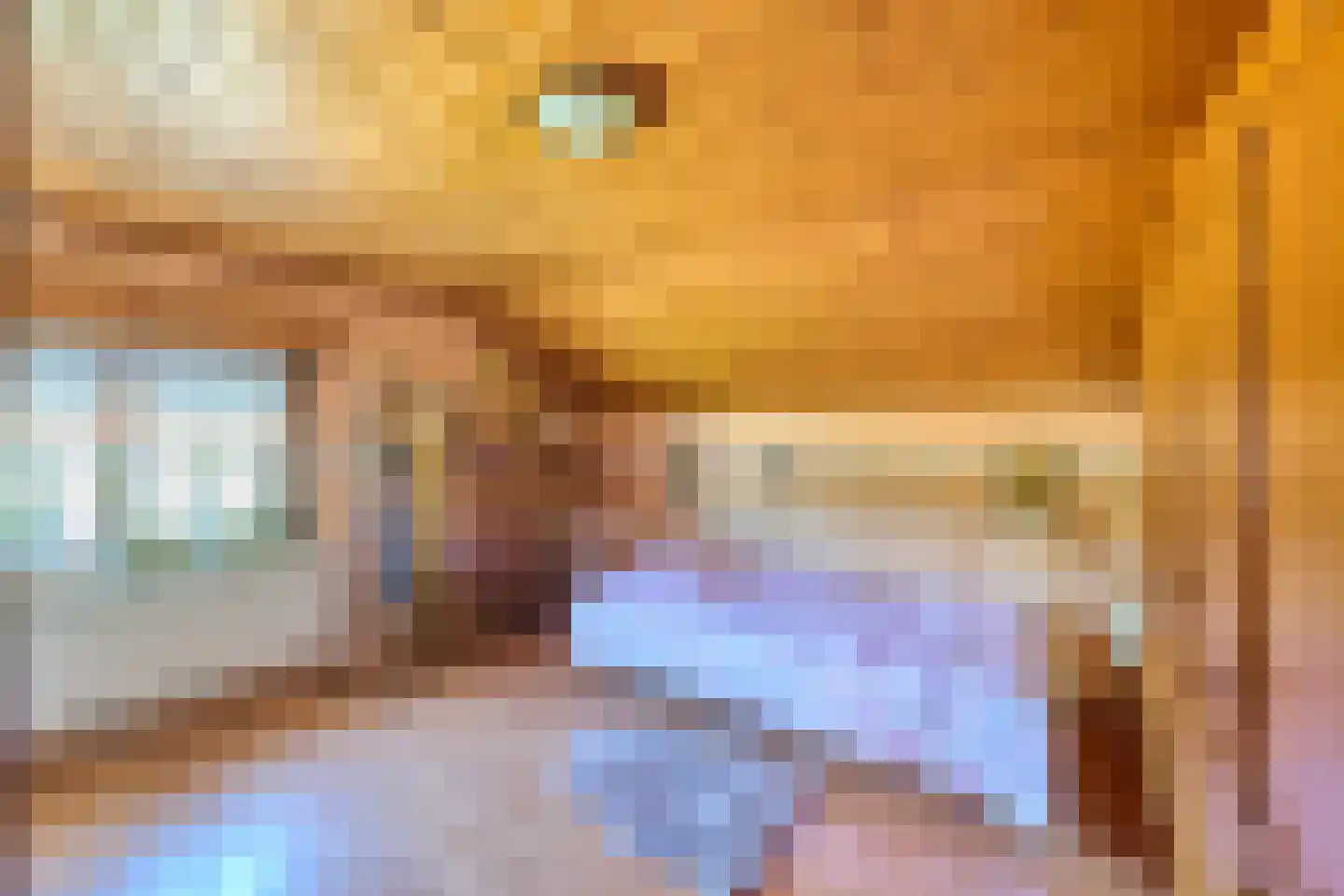 Klein Belgie 19 Vijfhuizen thumbnail 13