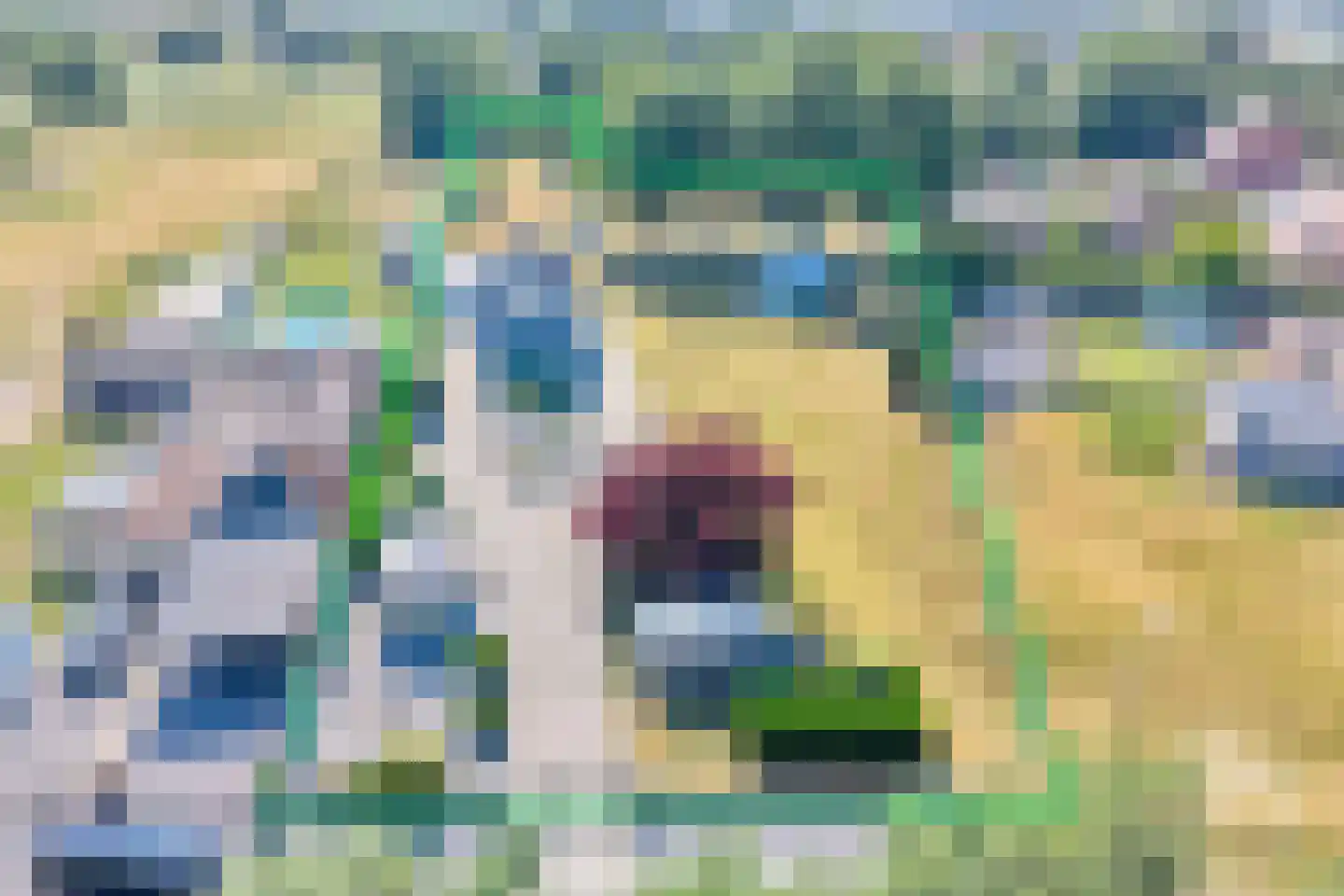 Klein Belgie 19 Vijfhuizen thumbnail 20