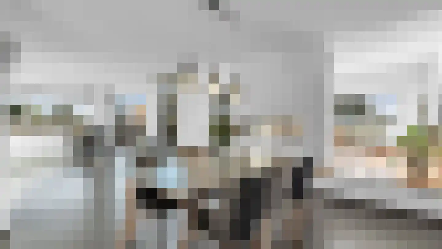 Klein Belgie 2 A Vijfhuizen thumbnail 15