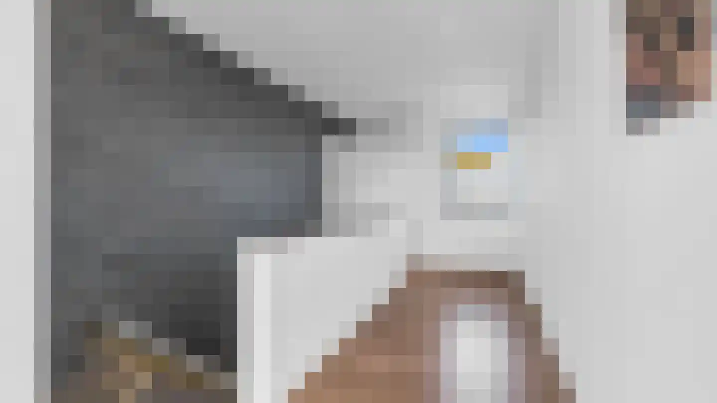 Klein Belgie 2 A Vijfhuizen thumbnail 19