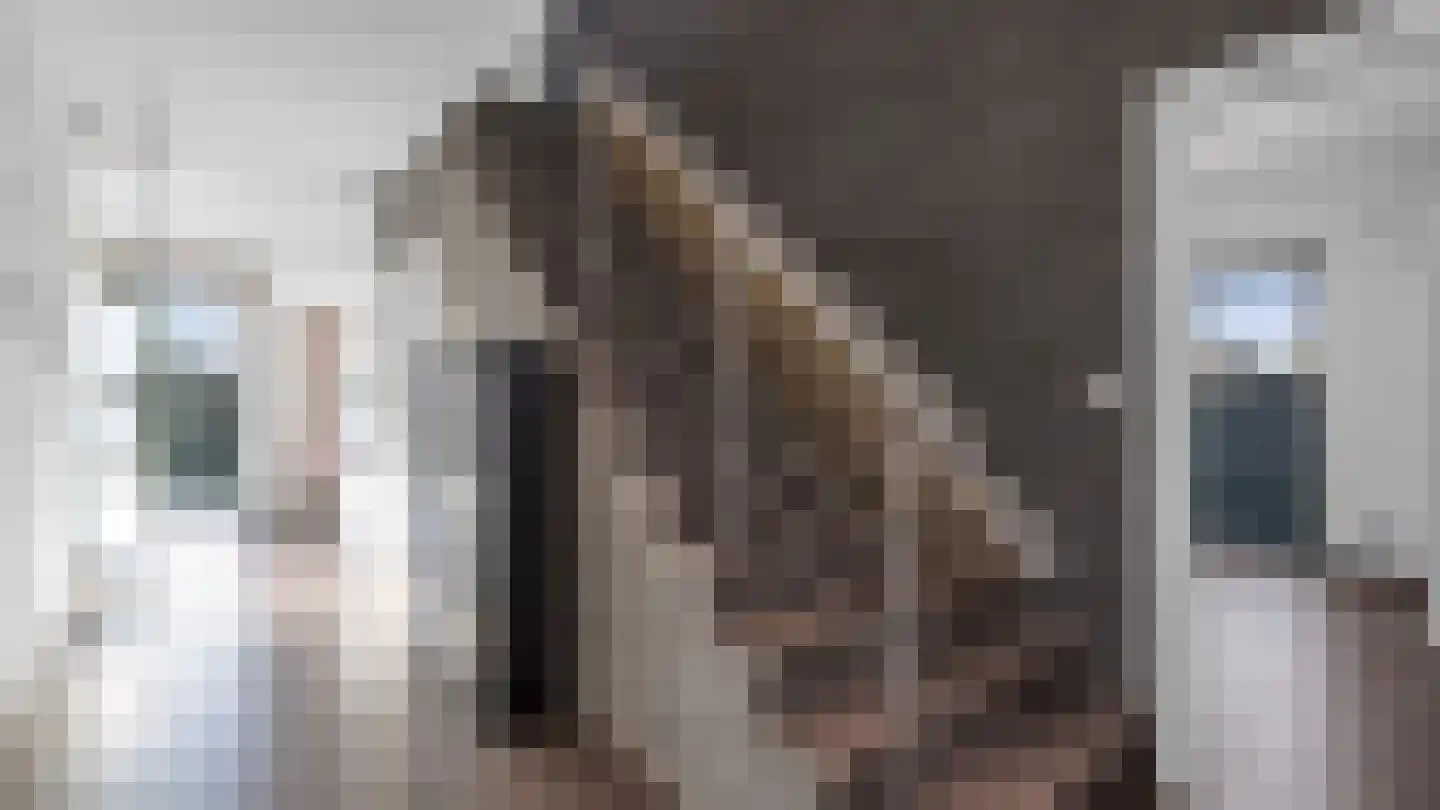 Klein Belgie 2 A Vijfhuizen thumbnail 6