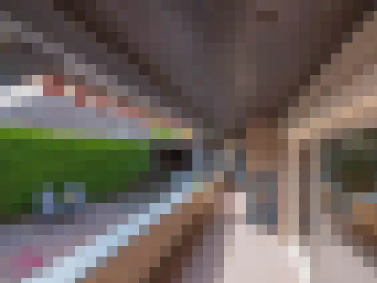 Klein Belgie 2 Vijfhuizen thumbnail 16
