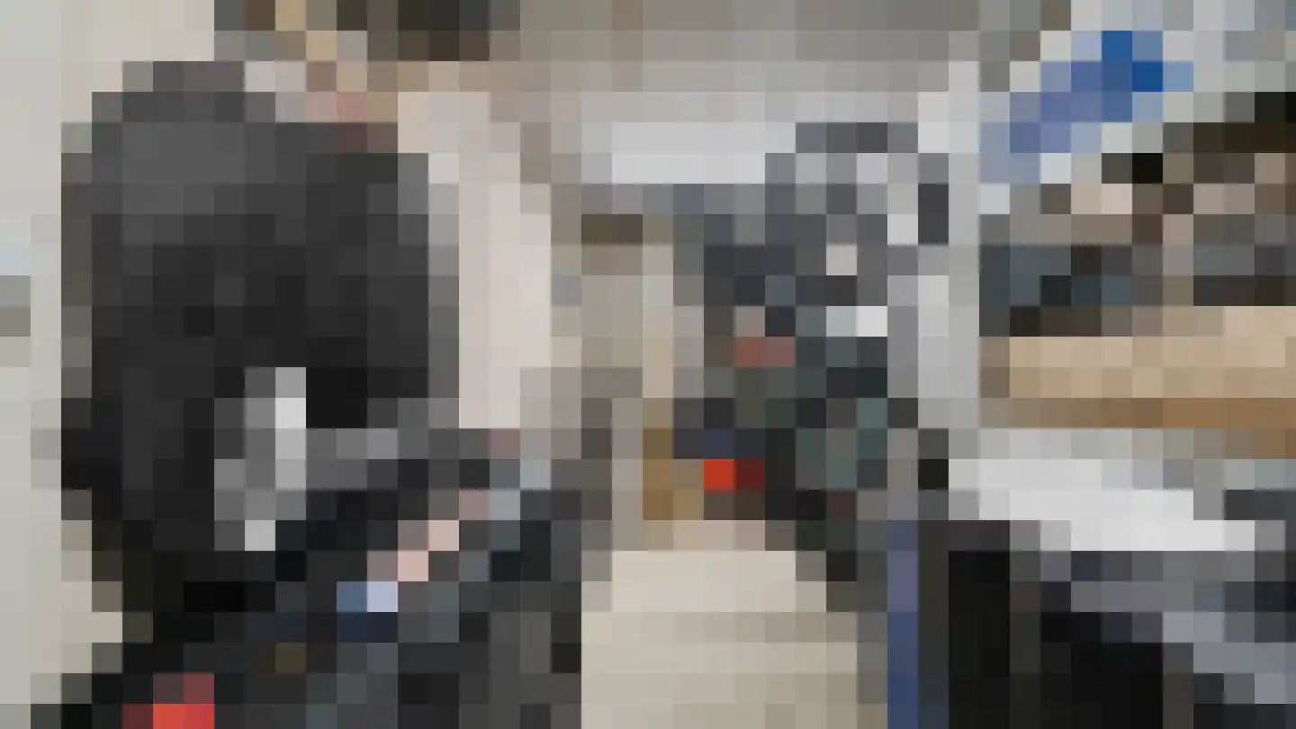 Klein Belgie 2 Vijfhuizen thumbnail 19