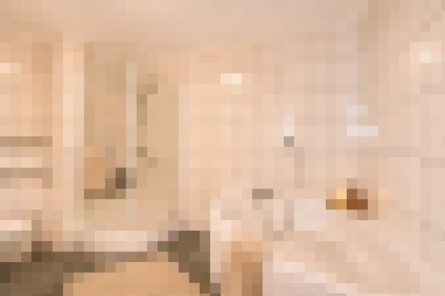 Klein Belgie 2 Vijfhuizen thumbnail 20