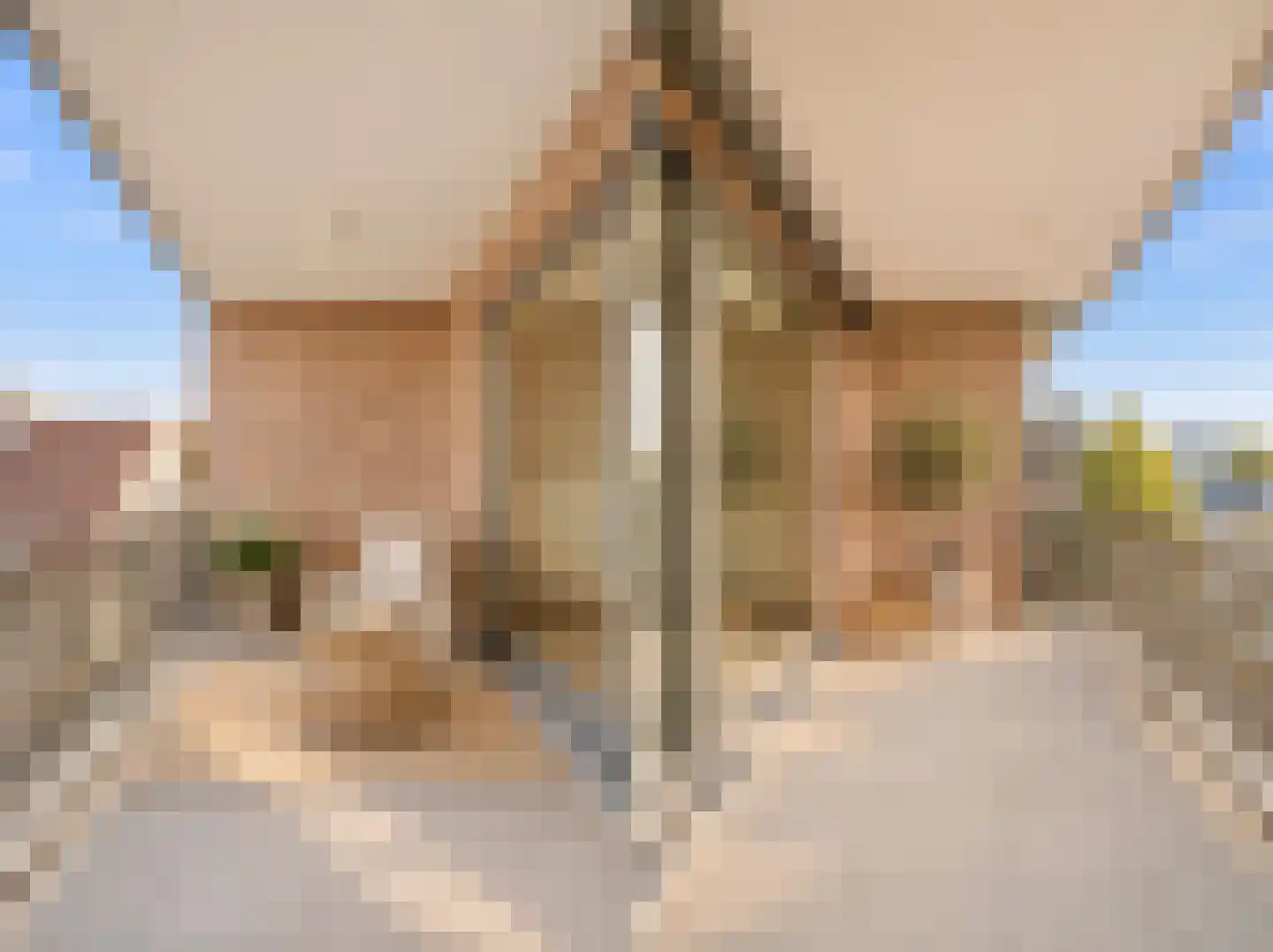 Klein Belgie 2 Vijfhuizen thumbnail 22