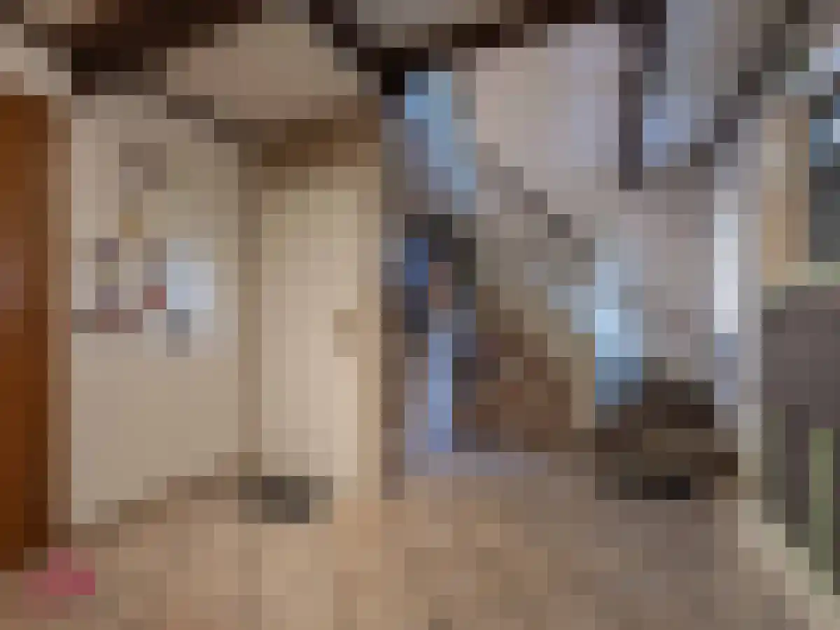 Klein Belgie 2 Vijfhuizen thumbnail 22