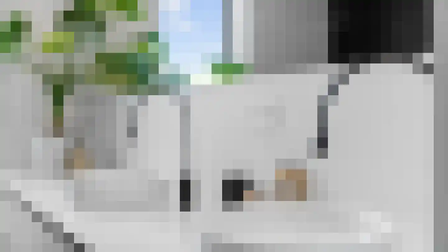 Klein Belgie 2 Vijfhuizen thumbnail 27