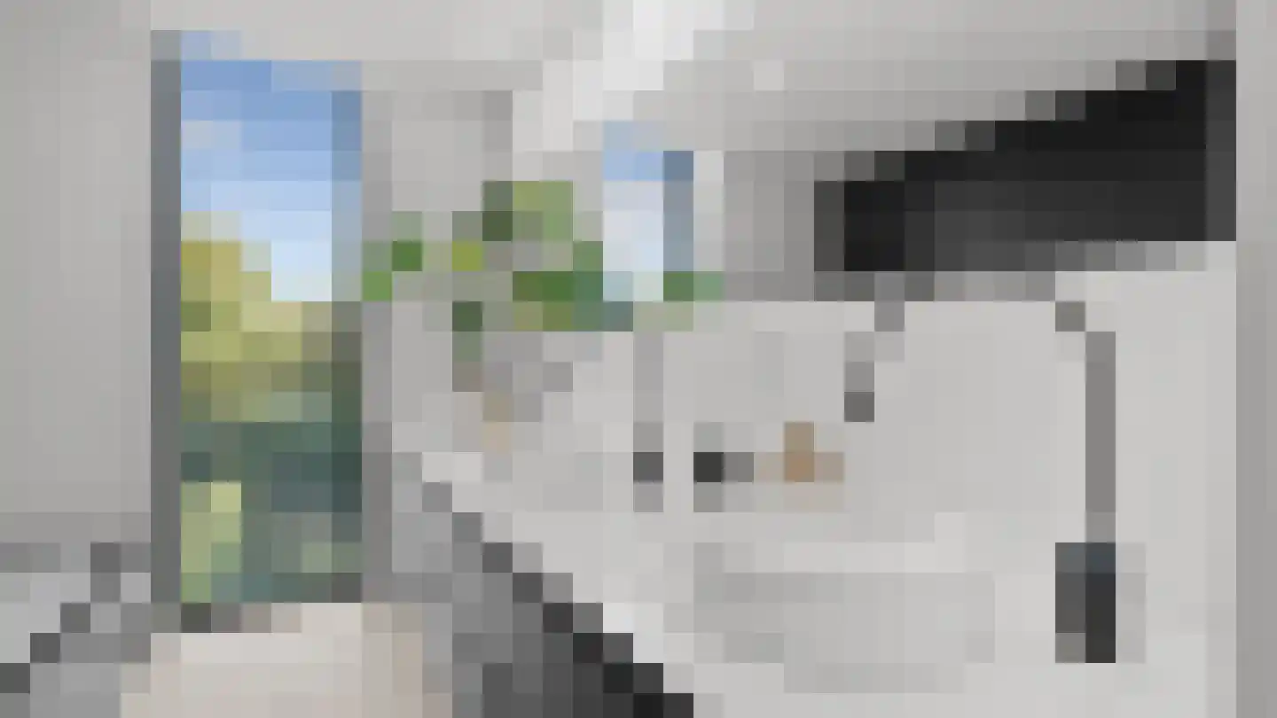 Klein Belgie 2 Vijfhuizen thumbnail 28