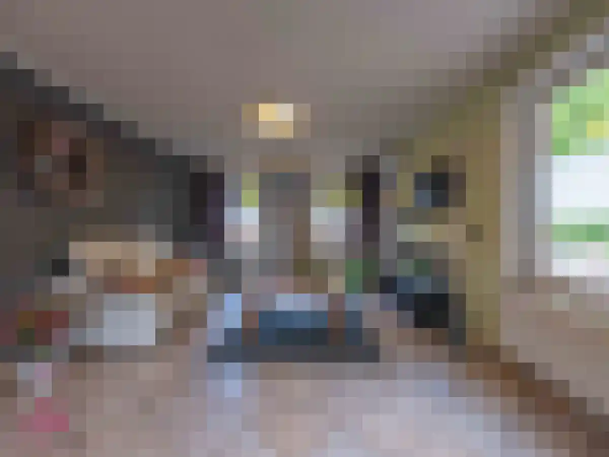 Klein Belgie 2 Vijfhuizen thumbnail 28