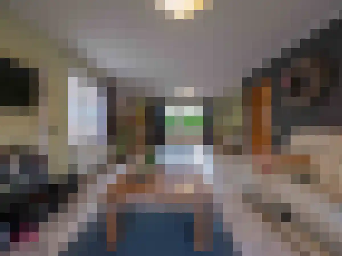 Klein Belgie 2 Vijfhuizen thumbnail 29