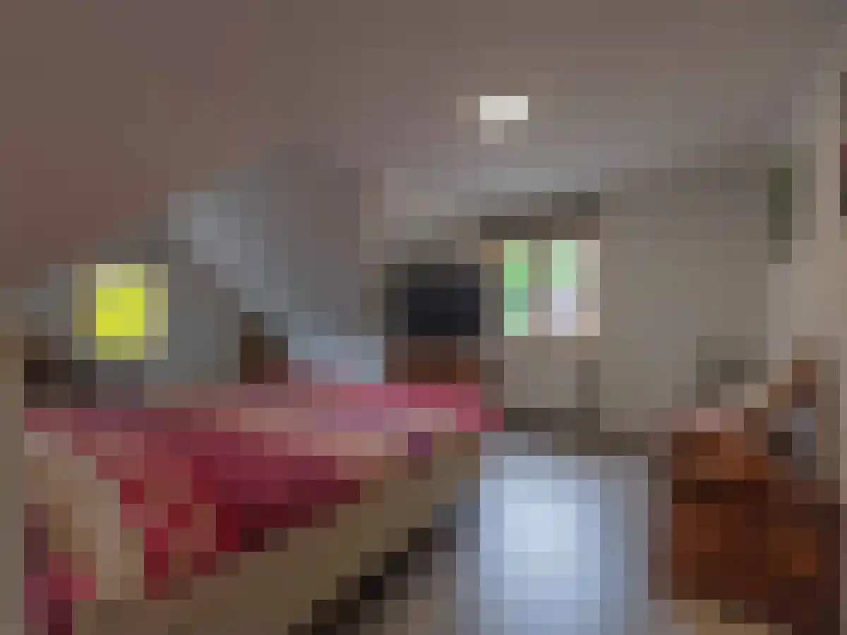 Klein Belgie 2 Vijfhuizen thumbnail 32