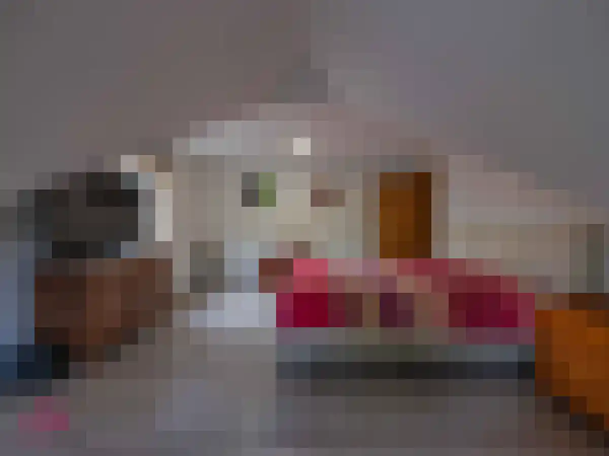 Klein Belgie 2 Vijfhuizen thumbnail 34