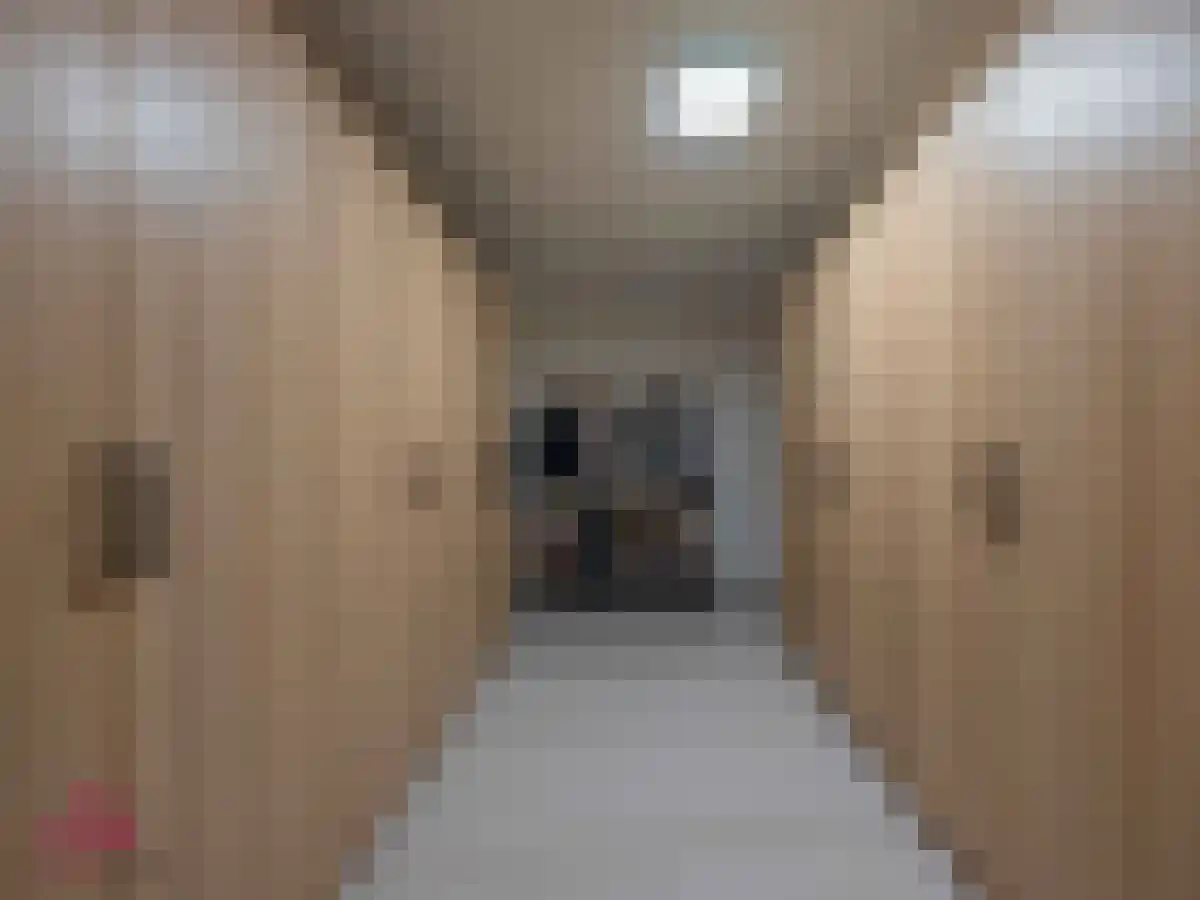 Klein Belgie 2 Vijfhuizen thumbnail 37
