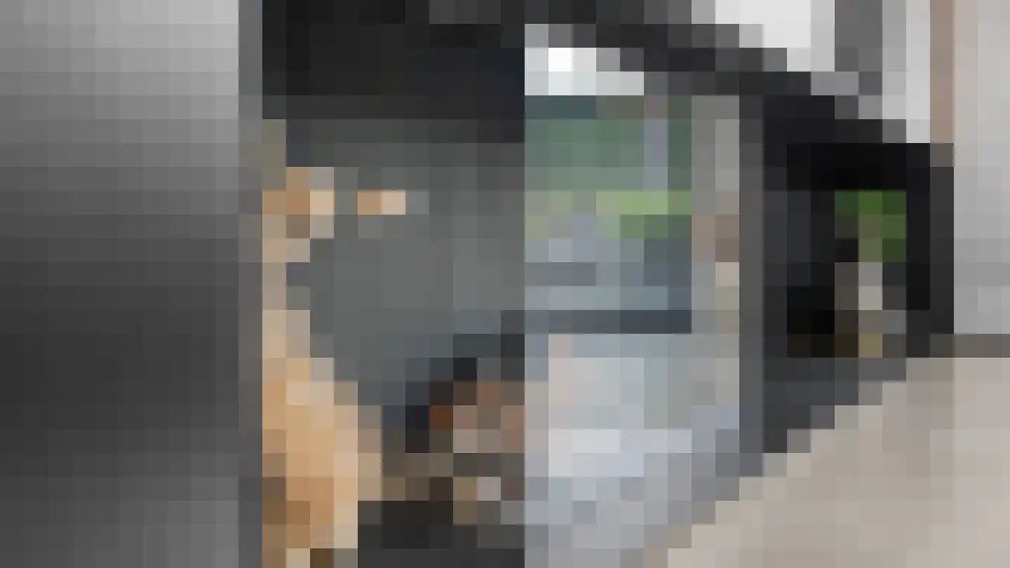 Klein Belgie 2 Vijfhuizen thumbnail 40