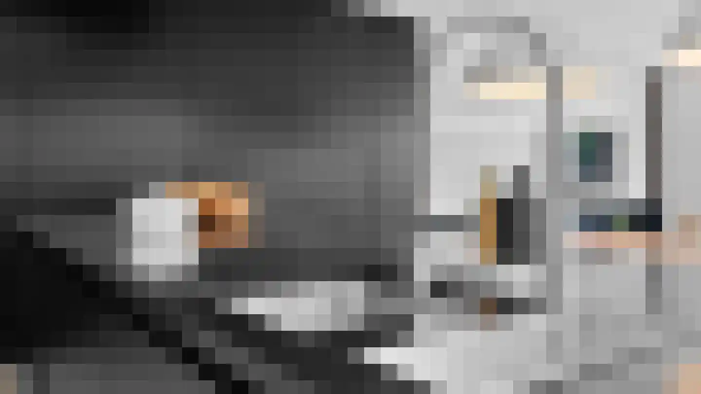 Klein Belgie 2 Vijfhuizen thumbnail 41