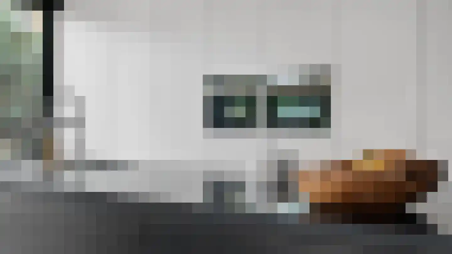 Klein Belgie 2 Vijfhuizen thumbnail 42