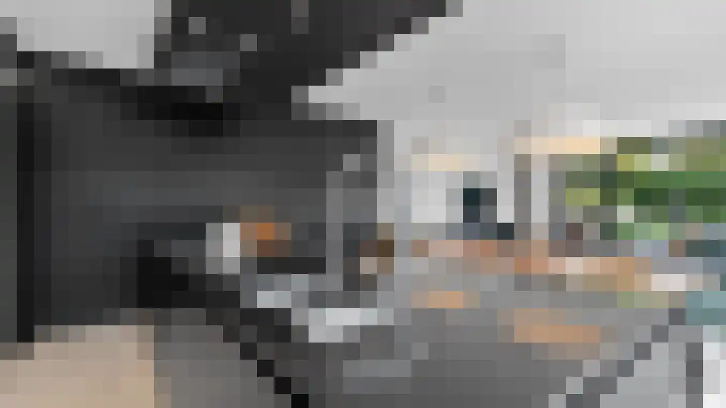 Klein Belgie 2 Vijfhuizen thumbnail 43